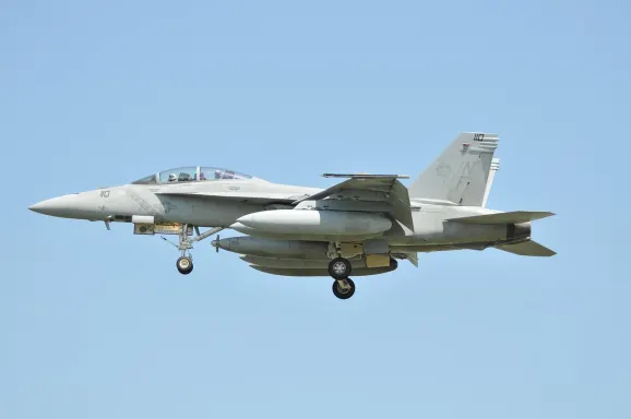 קזינו קריפטו ויילד תמיכה